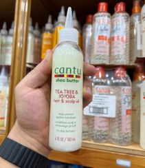 تصویر روغن اسکالپ جوجوبا و چای سبز کنتو 