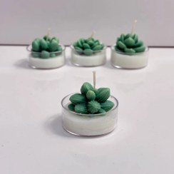 تصویر شمع وارمر کاکتوس 