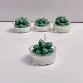 تصویر شمع وارمر کاکتوس 