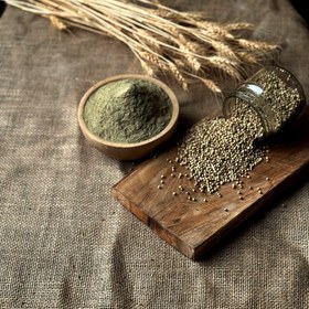 تصویر تخم گشنیز 