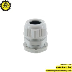 تصویر گلند شماره 13.5 