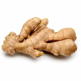 تصویر زنجبیل قلم 