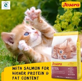 تصویر غذای خشک بچه گربه کیتن جوسرا سوپر پرمیوم (فله ای) - یک کیلویی (زیپ کیپ) Josera Kitten