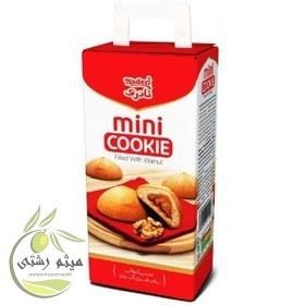 تصویر مینی کوکی گردویی نادی 