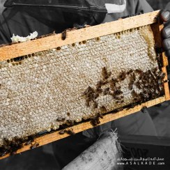 تصویر عسل محرمانه موم دار - ارگانیک - وزن-خالص: دو کیلویــی + ضمانت اصالت 