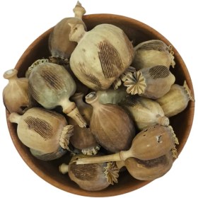 تصویر غوزه خشخاش ۱۰۰ گرم 