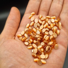 تصویر پک ۱۰۰ عدد چشم گربه نارنجی 