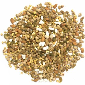 تصویر آجیل مشکل گشا (250 گرم) 