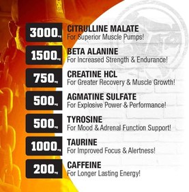 تصویر پمپ 30 سرو ماموت MAMMOTH PUMP – Pre Workout Powder, 30 Serves