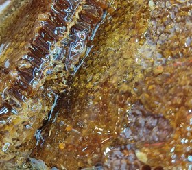 تصویر عسل طبیعی شان یا عسل موم دار یک کیلوگرم Honey