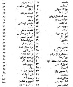 تصویر کتاب پسرک فلافل فروش اثر جمعی از نویسندگان انتشارات شهید ابراهیم هادی پالتویی شومیز