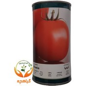 تصویر بذر گوجه فرنگی کیمیای فلات 500 گرمی | Kimia Falat 