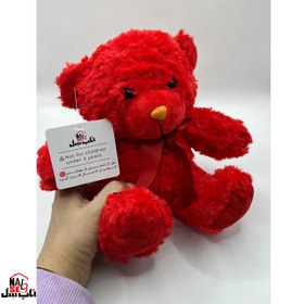 تصویر عروسک ناب سل مدل پولیشی خرس راس طرح Love Teddy ارتفاع 20 سانتی متر 