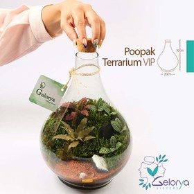 تصویر تراریوم پوپک VIP 