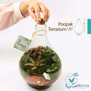 تصویر فروشگاه خانه گل گلوريا