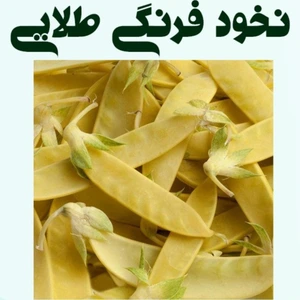 تصویر فروشگاه باغبان ارگانیک