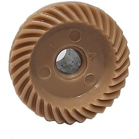 تصویر دنده قهوه ای آقامیری 