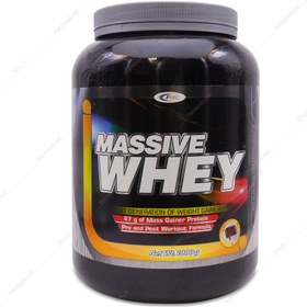 تصویر پودر مسیو وی Massive Whey Gainer