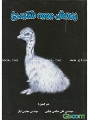 تصویر پرورش جوجه شترمرغ 