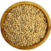 تصویر میکس ارزن درشت و کتان مخصوص طوطیسانان 