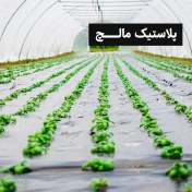 تصویر پلاستیک مالچ 