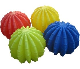 تصویر کاکتوس گرد 