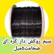 تصویر سیم روکش دار بدنسازی کره ای اصلی ضخامت ۵خارجی 