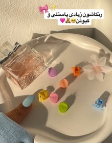 تصویر موگیر جیبی توتفرنگی 