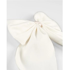 تصویر گیره مو زنانه مدل پاپیون 