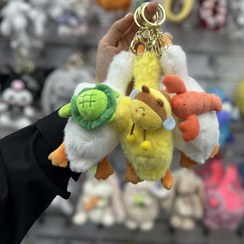 تصویر جاکلیدی غاز پولیشی 