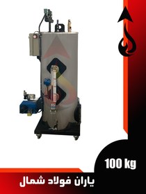 تصویر دیگ بخار 100 کیلوگرم Steam boiler - 100 kg