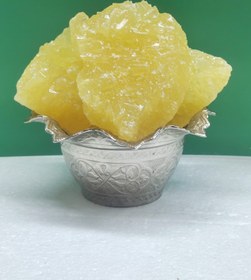 تصویر نبات ساده 