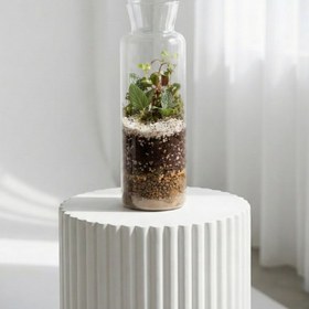 تصویر تراریوم آزمایشگاهی کد 8010 