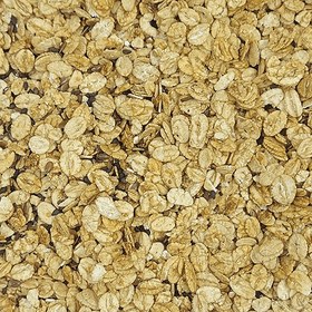 تصویر گرانولا رژیمی عمده 