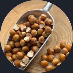 تصویر فندق خام ییلاق نشکسته