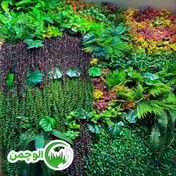 تصویر چمن مصنوعی گرین وال استوایی 