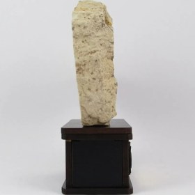 تصویر سنگ شجر فسیلی (دندریتی ) کد 2357 