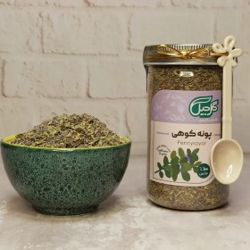 تصویر پونه کوهی گل‌جیل 