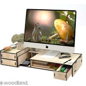 تصویر استند مانیتور، زیر مانیتوری و نظم دهنده مدل 10716 