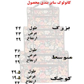 تصویر ساک پیک نیک مدل ir111 مجموعه 3 عددی 