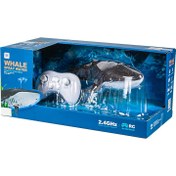 تصویر کوسه شارژی 