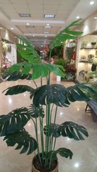 تصویر درخت مصنوعی برگ انجیری 