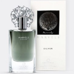 تصویر عطر ادکلن مارولز سیلور اصلی و اورجینال لینا د بلا فرانسه LINEA DE BELLA MARVELS SILVER 100ml 