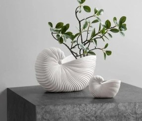 تصویر گلدان صدف 