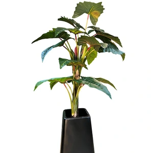 تصویر فروشگاه کابان هوم