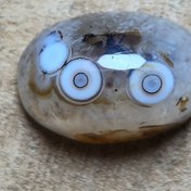 تصویر باباقوری دوچشم قائن زیبا خاص 