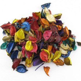 تصویر گل خشک رنگارنگ 