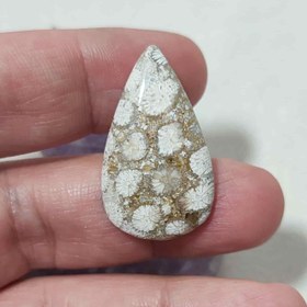 تصویر نگین مرجان فسیلی اصل 13 