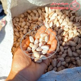 تصویر پسته احمدآقای 