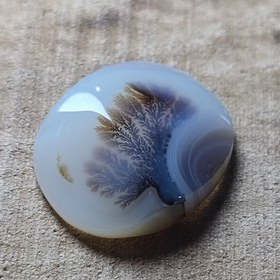 تصویر شجر قائن 